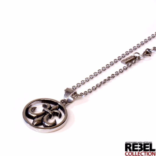 Fleur de lis hanger en ketting