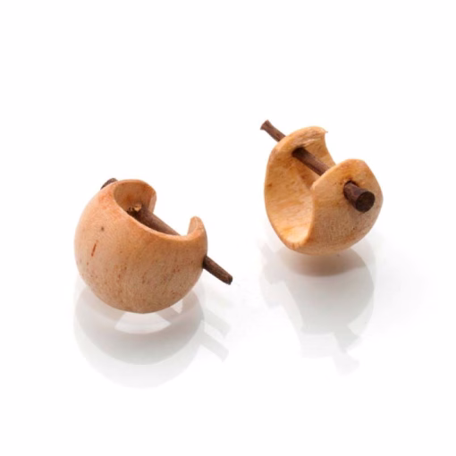 Houten oorbellen