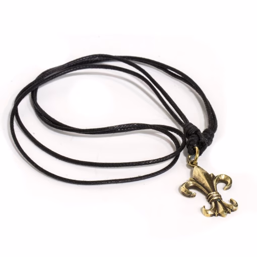Fleur de lis hanger ketting